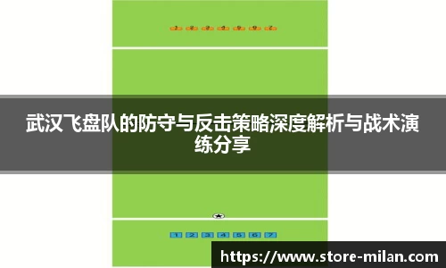 武汉飞盘队的防守与反击策略深度解析与战术演练分享
